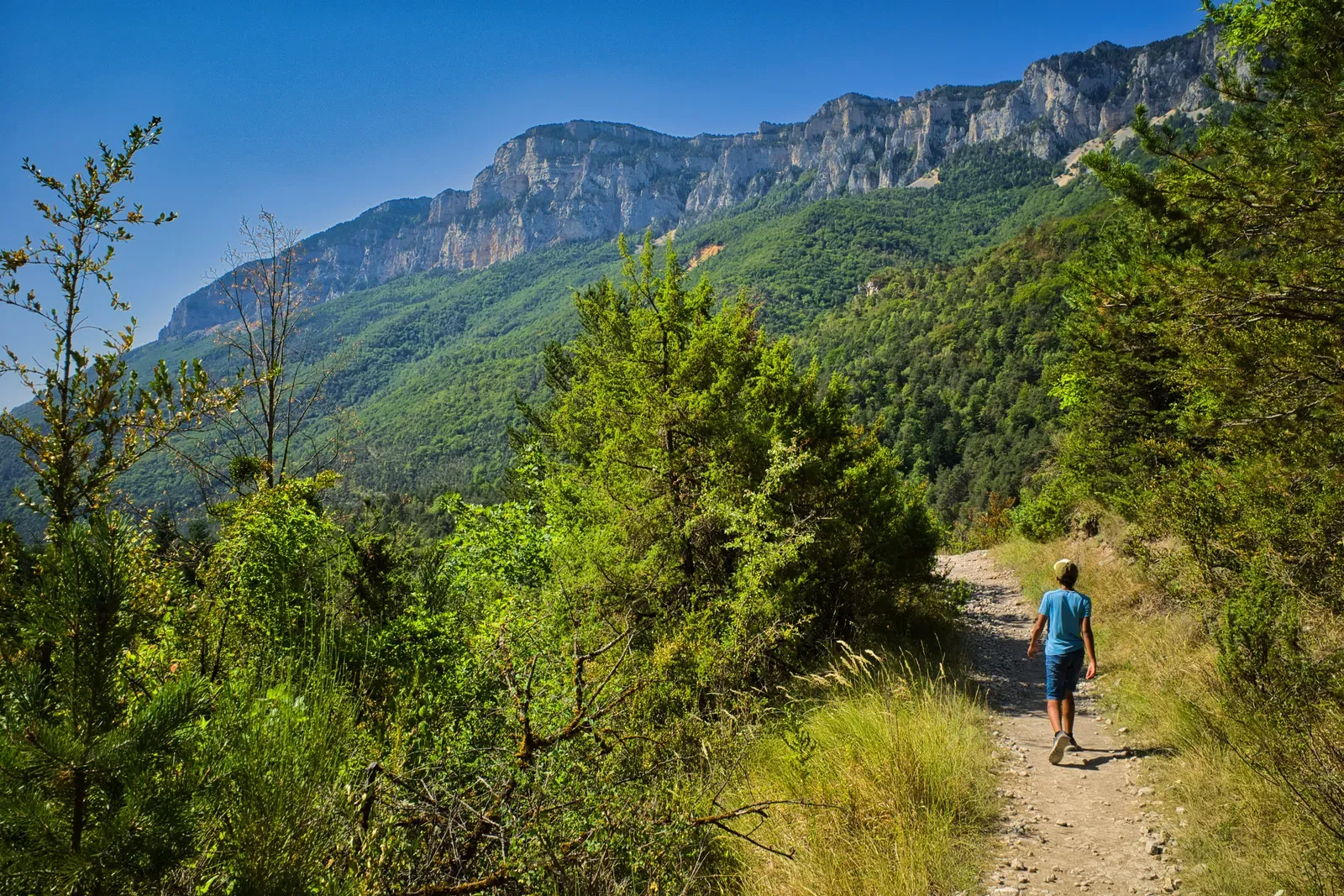 Le sentier des Vautours d'Archiane : une trentaine de rapaces au-dessus du cirque